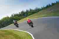 Middle Group Red Bikes